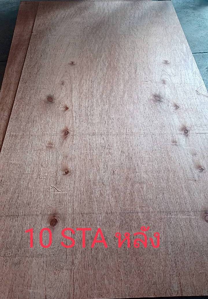 模板胶合板